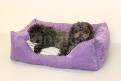 Obdelníček fialkový Pelechy